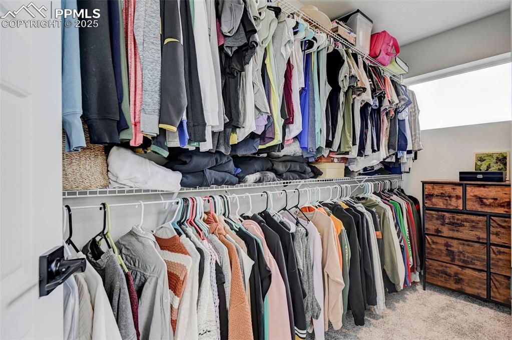 Image 31 of 48: Walk in closet with carpet flooring