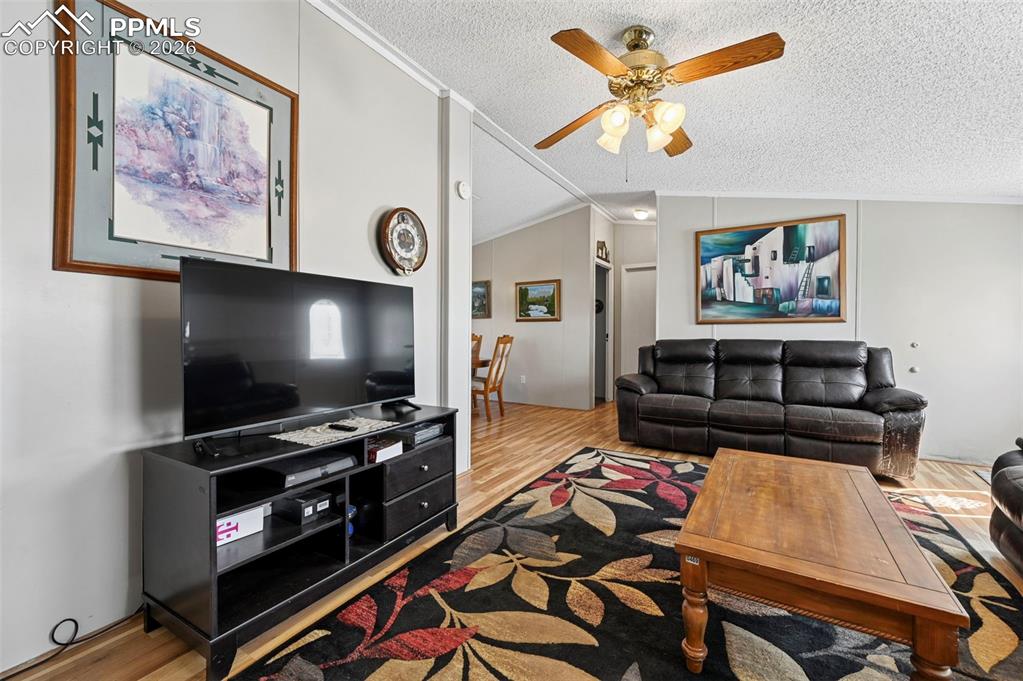 Image 10 of 47: Bright and Sunny Living Room