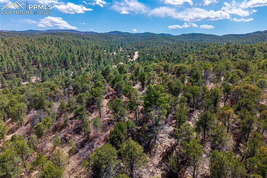 Image 43 of 48: Aerial View