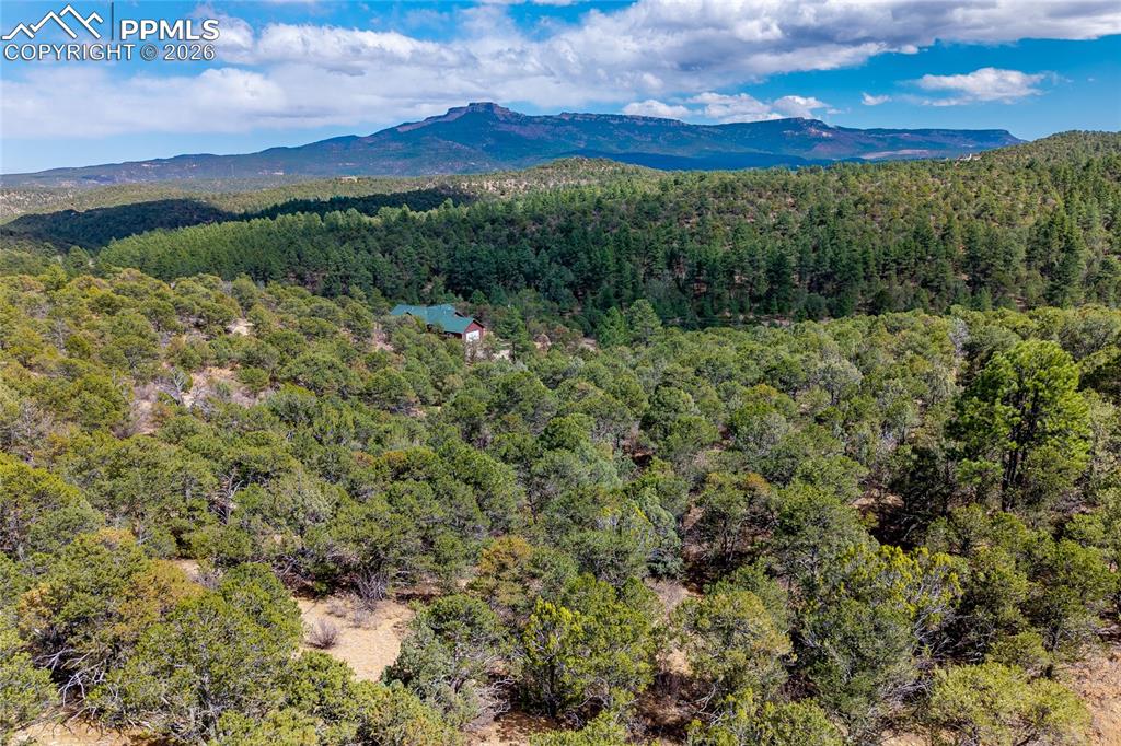 Image 44 of 48: View