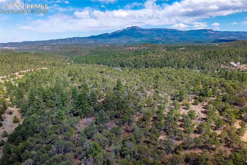 Image 45 of 48: Aerial View