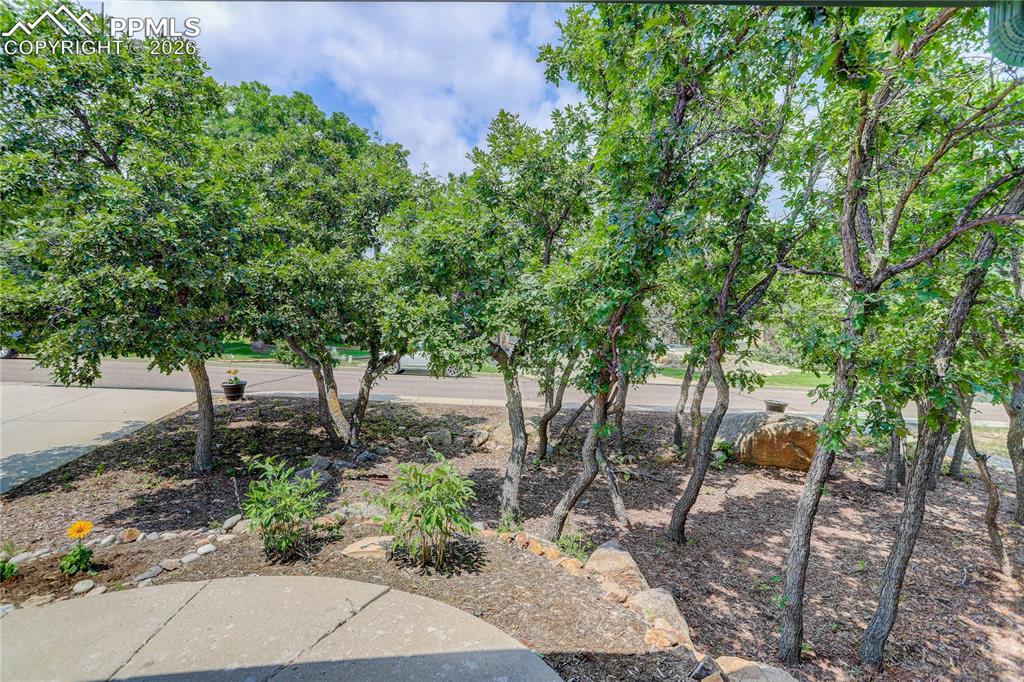 Image 38 of 42: View of yard