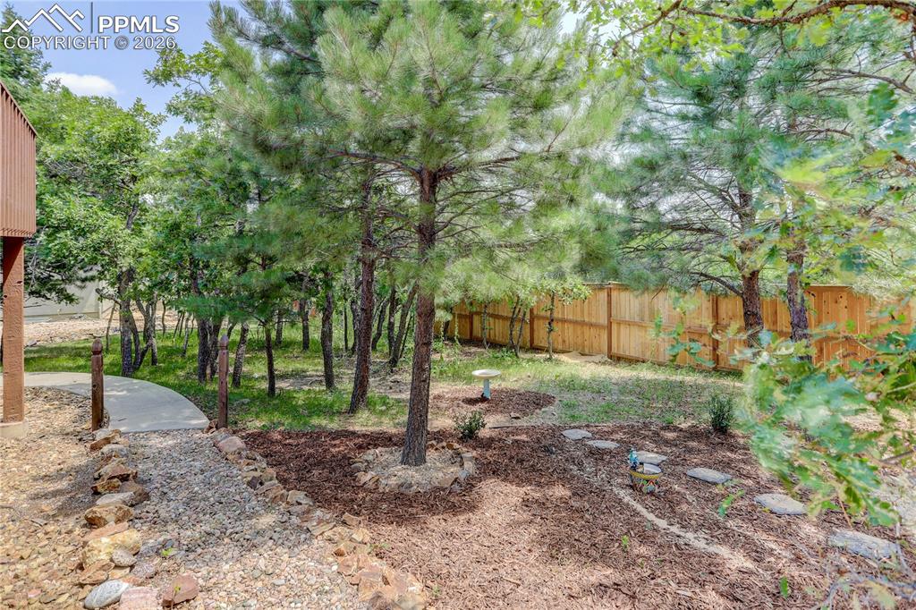 Image 39 of 42: View of yard