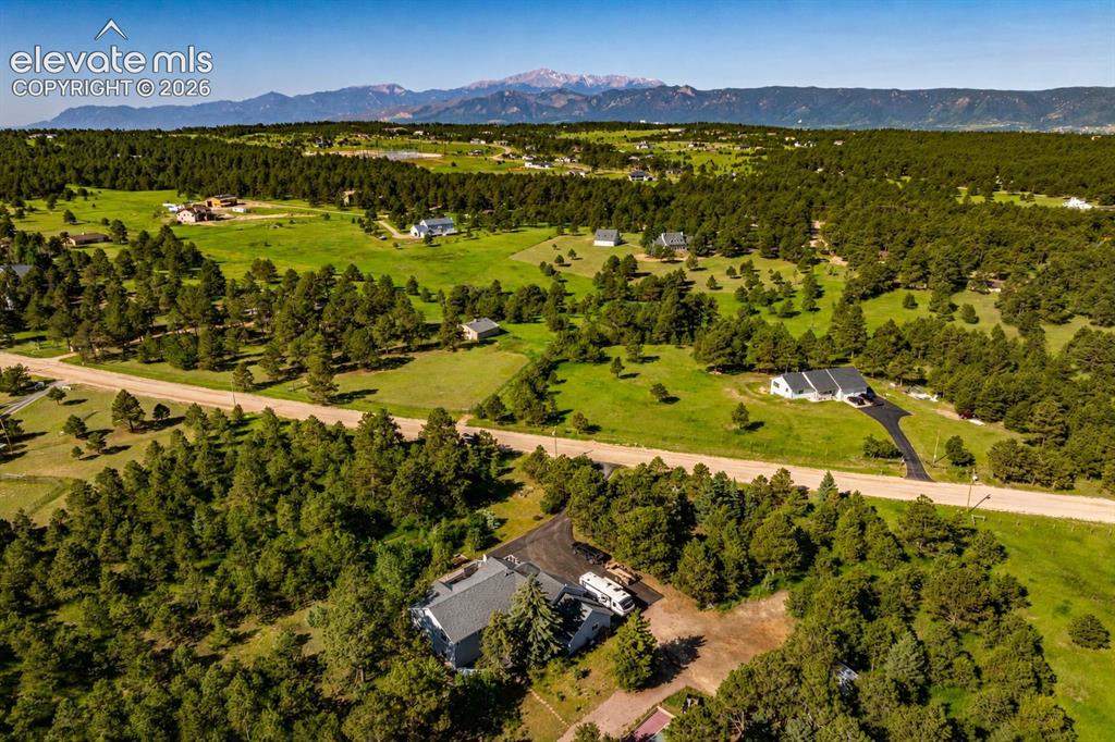 Image 10 of 50: Expansive landscape featuring mature evergreen trees and green clearings