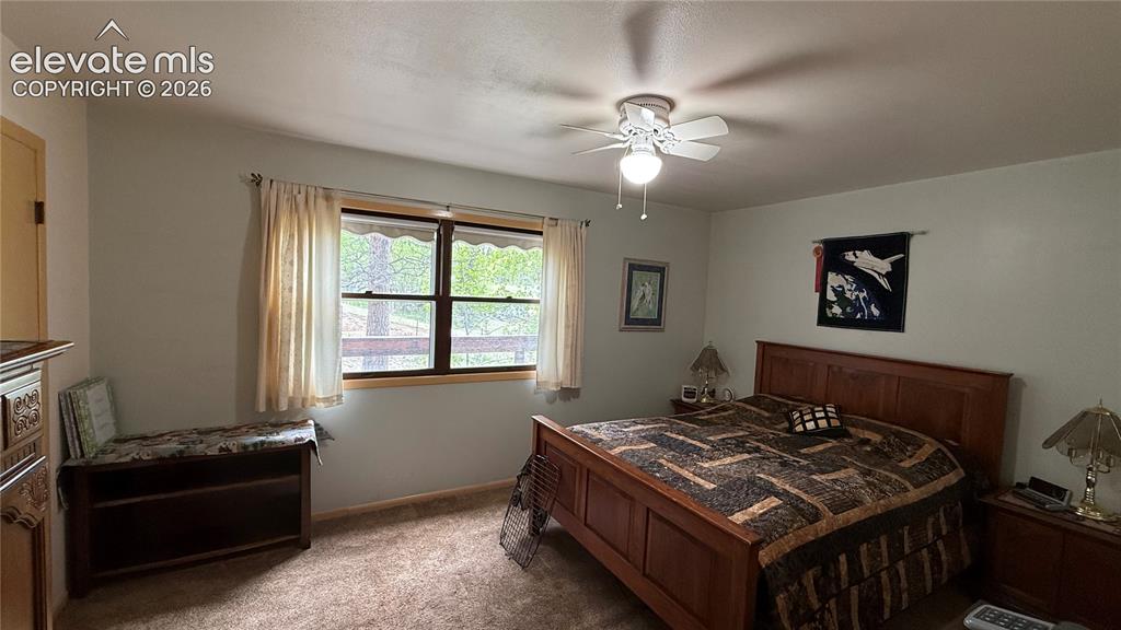 Image 11 of 38: Carpeted bedroom featuring a large window with wood trim, a ceiling fan wit
