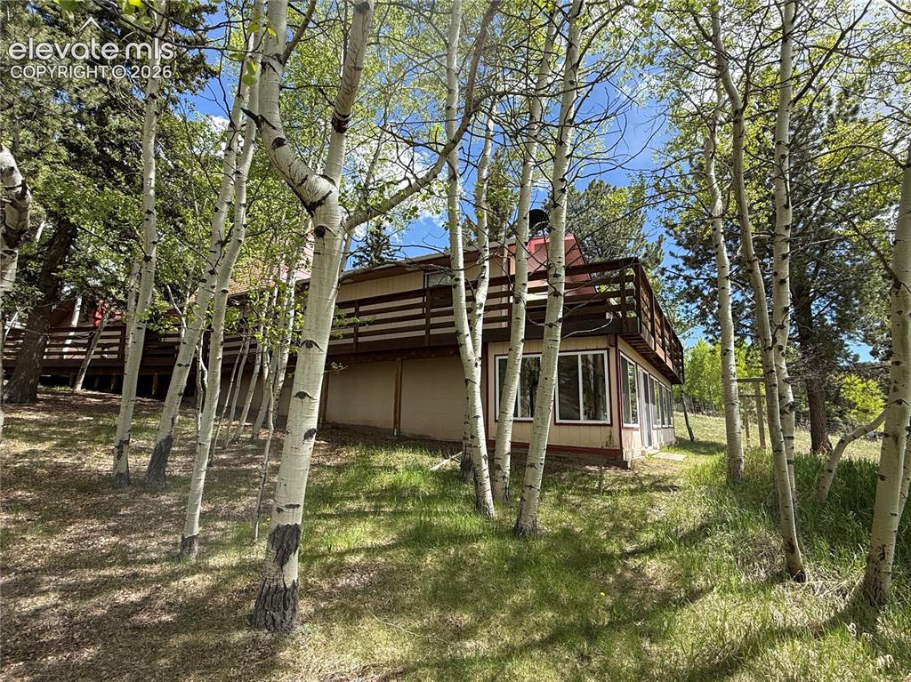 Image 26 of 38: Aspen Grove in Backyard