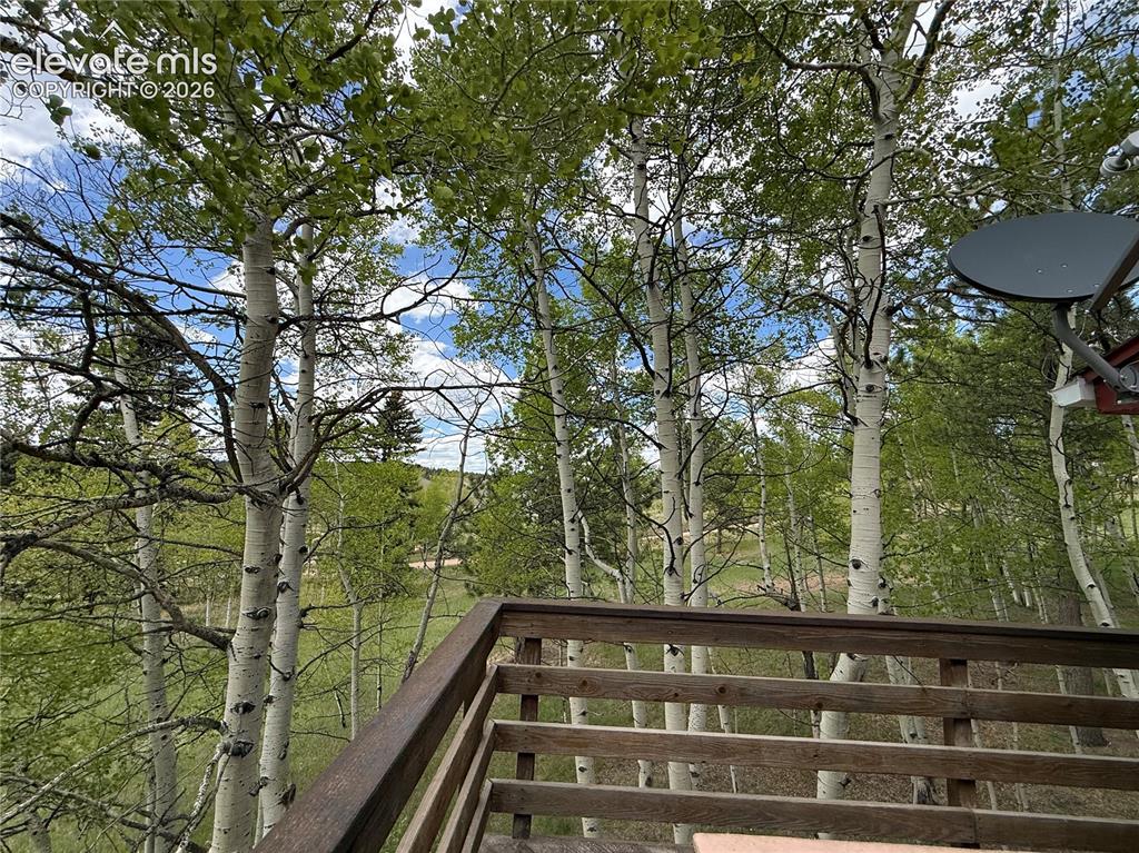 Image 30 of 38: Aspen Grove