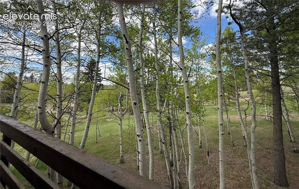 Image 32 of 38: View of Aspen Grove