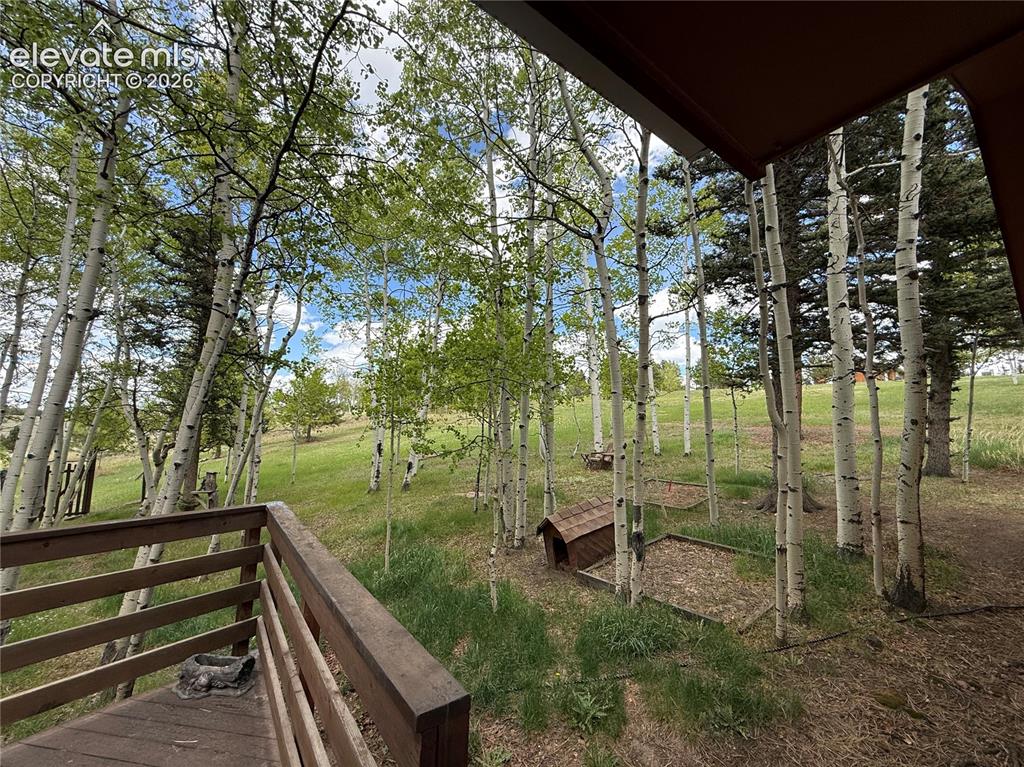 Image 34 of 38: View of North Side of Property