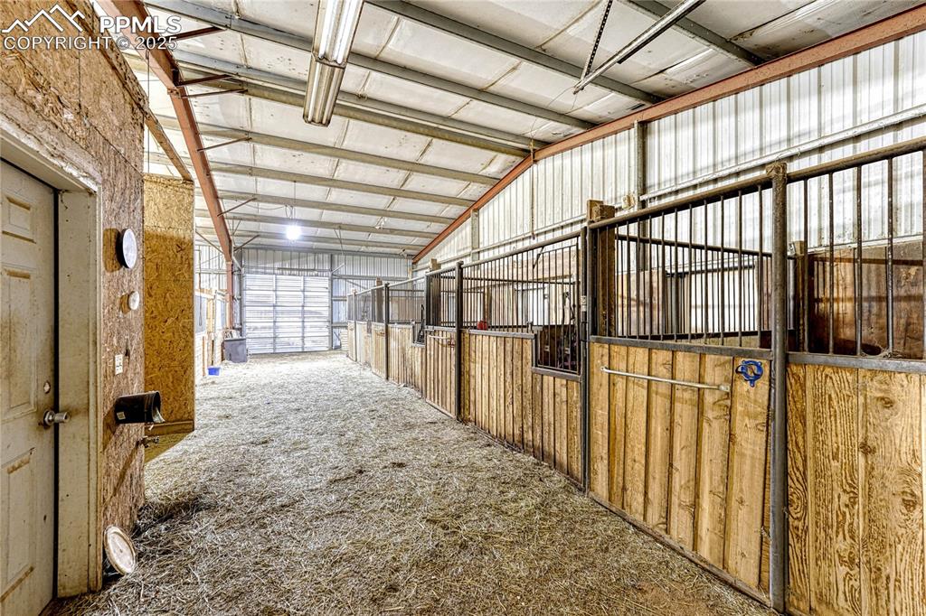 Image 41 of 50: Stable