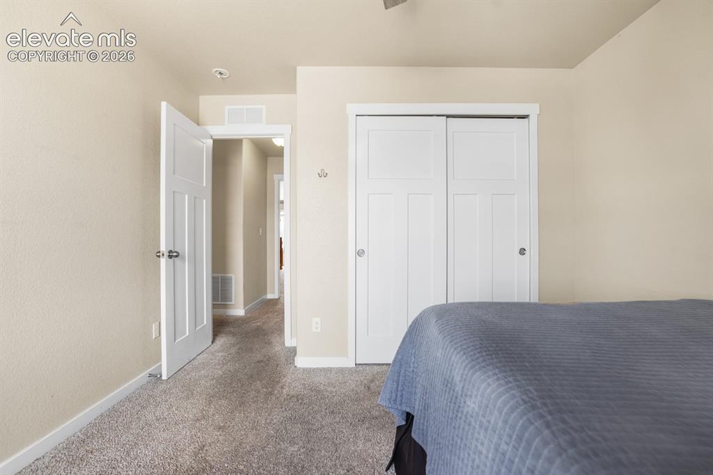 Image 34 of 44: Neutral wall tones complement plush carpet flooring