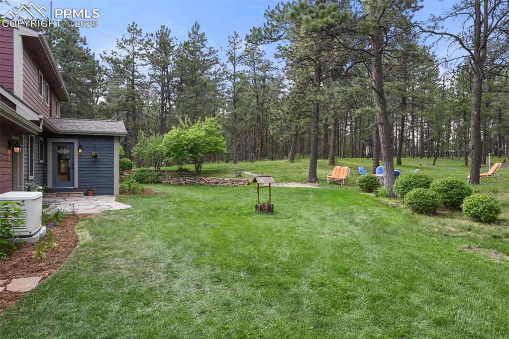 Image 44 of 50: Yard