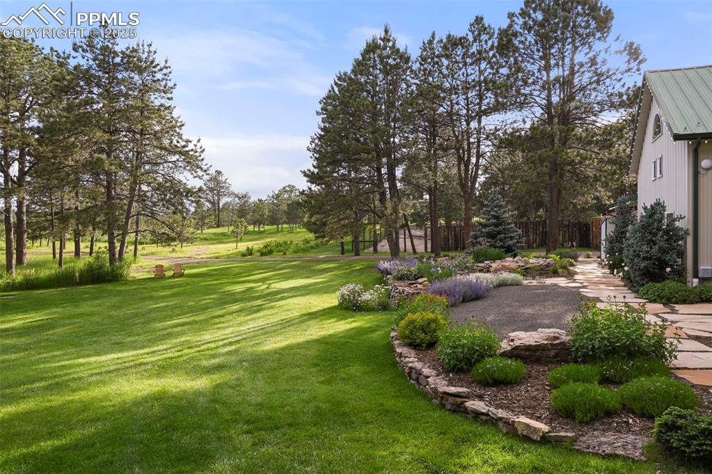 Image 46 of 50: Yard