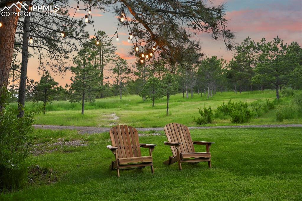 Image 50 of 50: Yard