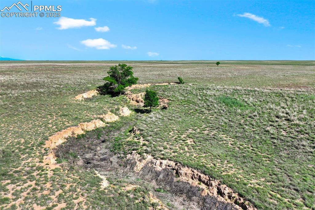 Image 12 of 16: View of yard
