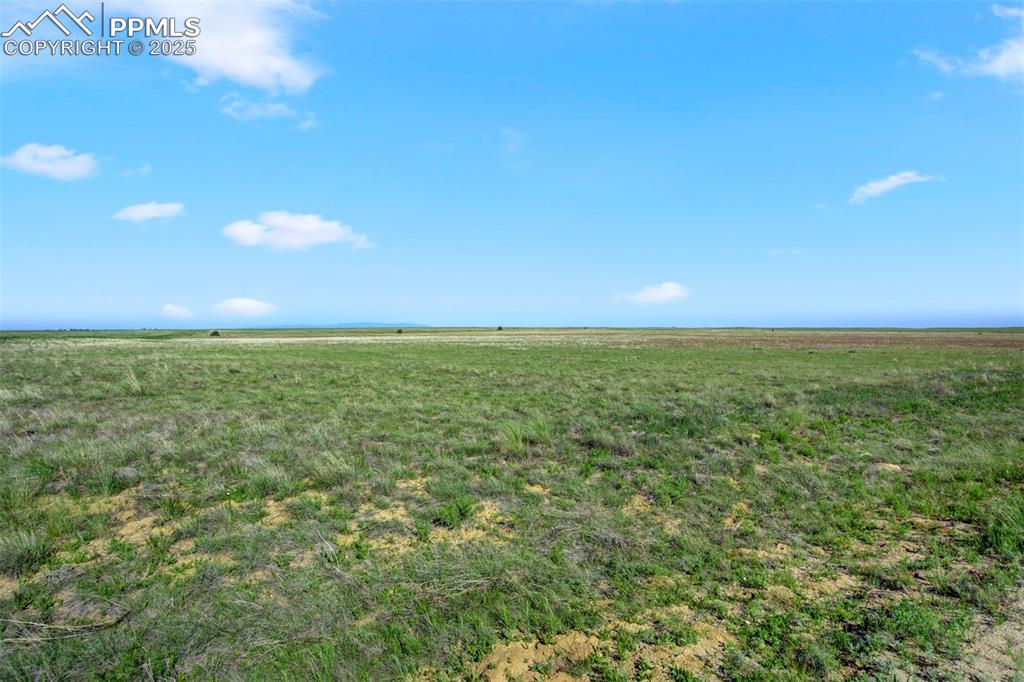 Image 5 of 16: View of undeveloped land with rural landscape