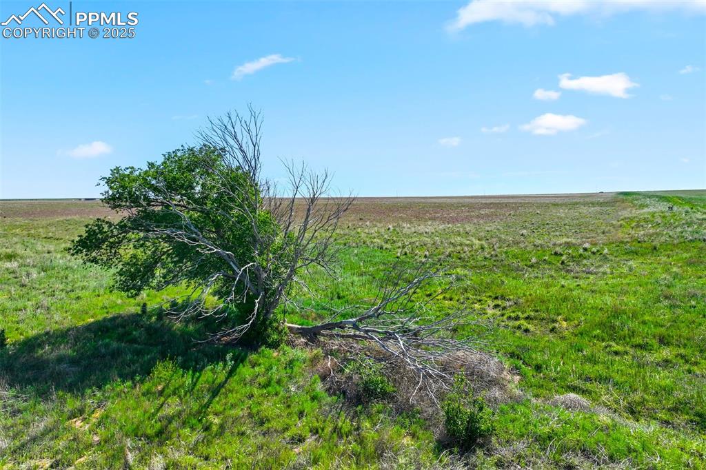 Image 7 of 16: View of local wilderness with rural landscape