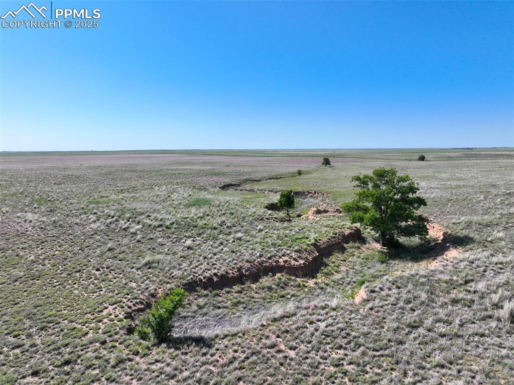 Image 8 of 16: Other