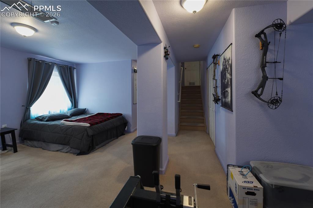 Image 39 of 45: Carpeted room with a full-size window and light-colored walls