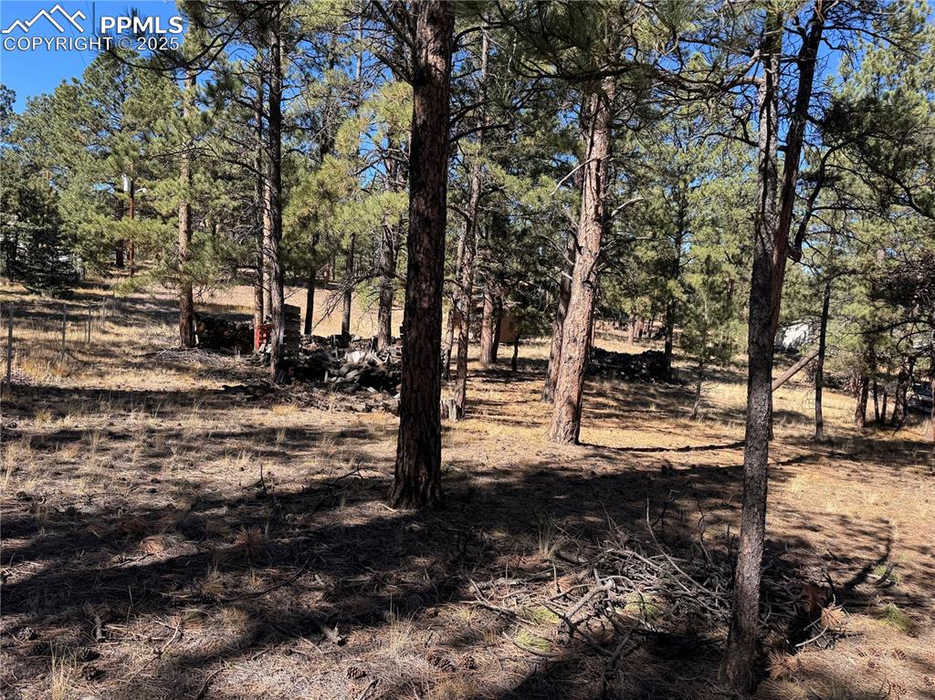 Image 12 of 35: Other