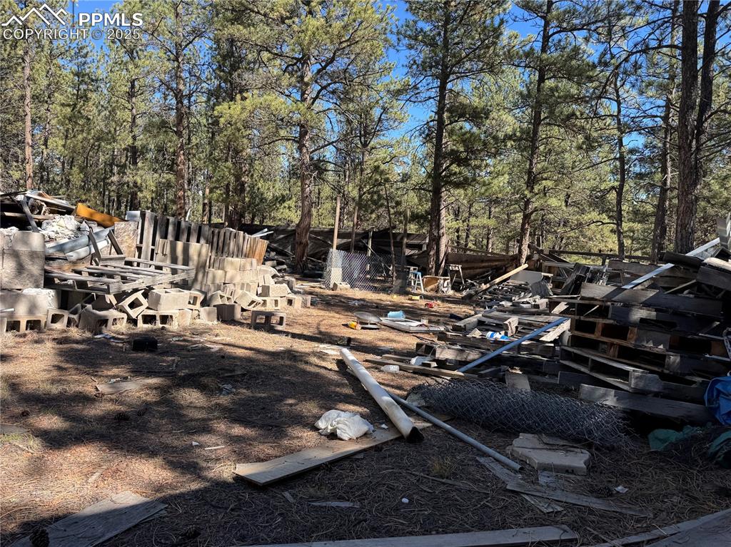 Image 14 of 35: Yard