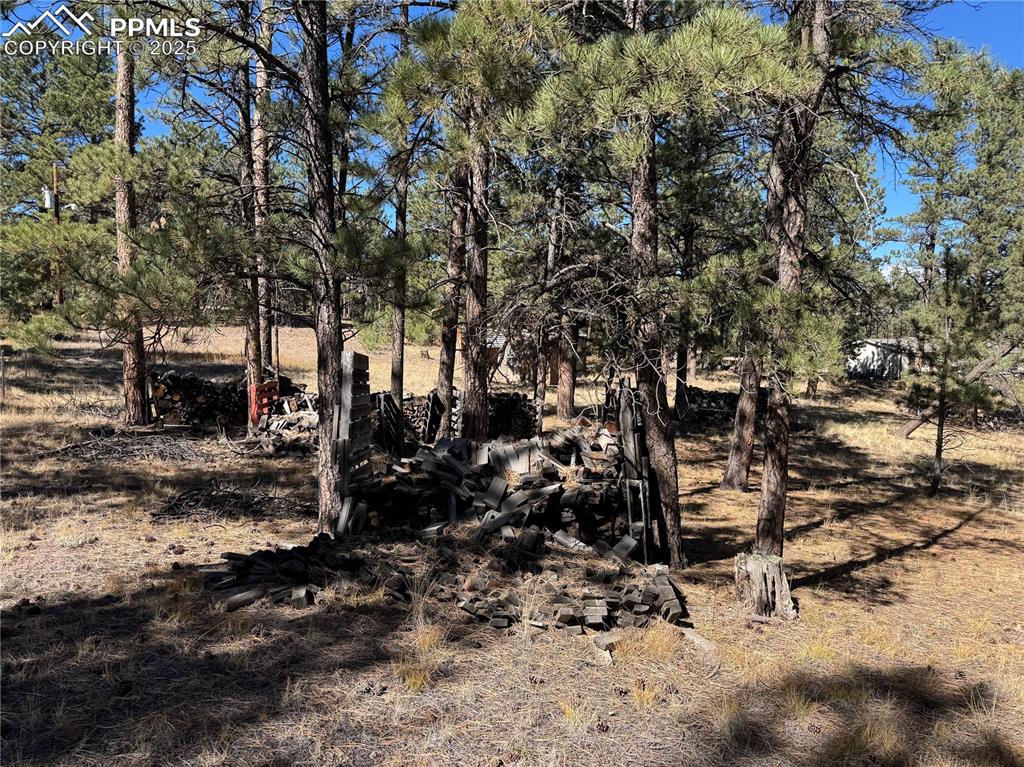 Image 17 of 35: Other