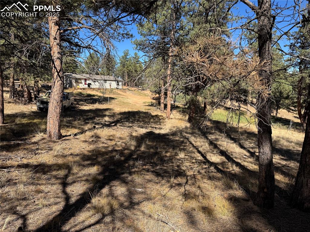 Image 20 of 35: Yard