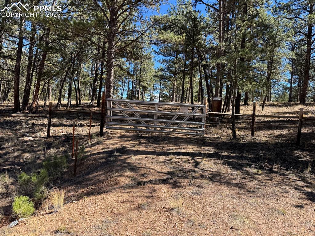 Image 35 of 35: Yard