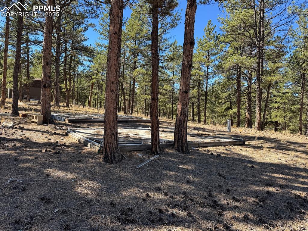 Image 6 of 35: Other