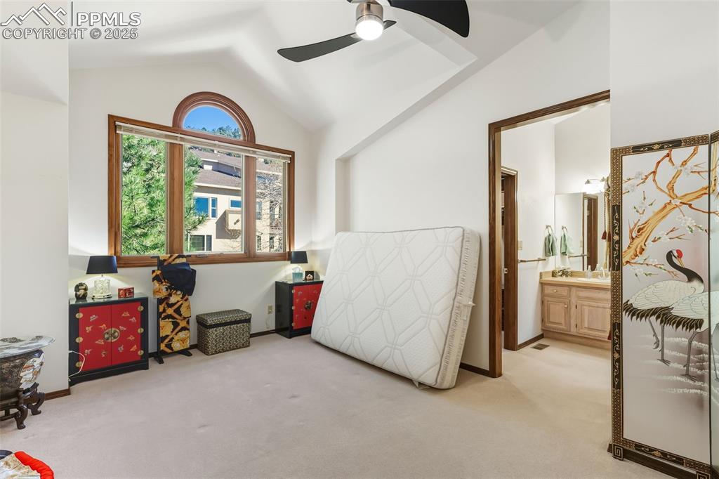 Image 20 of 49: Other