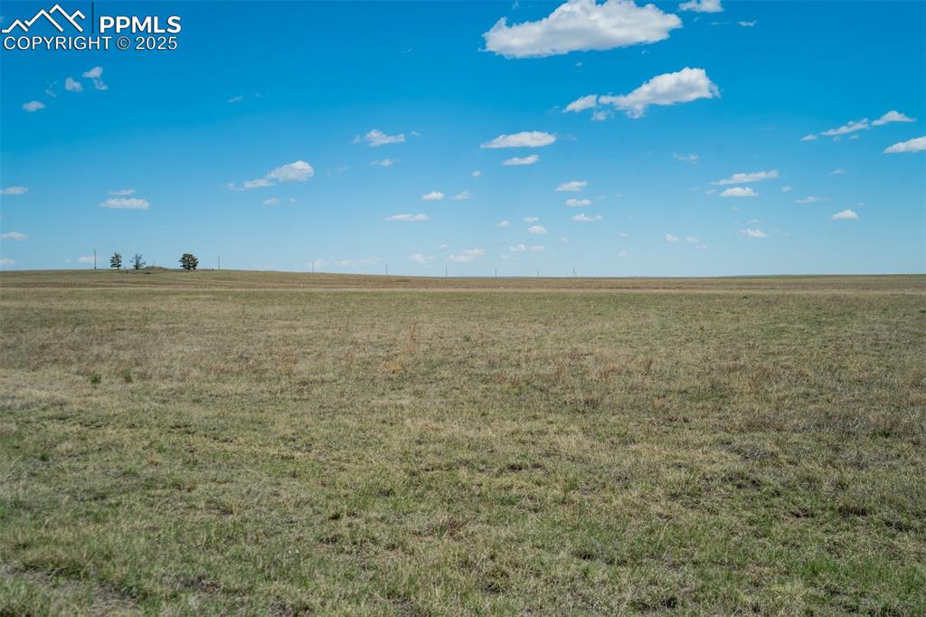 Image 20 of 20: View of local wilderness featuring rural landscape