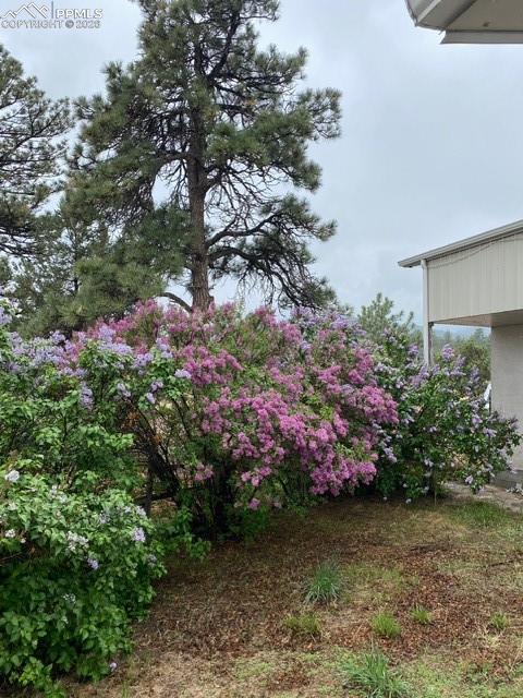 Image 28 of 39: View