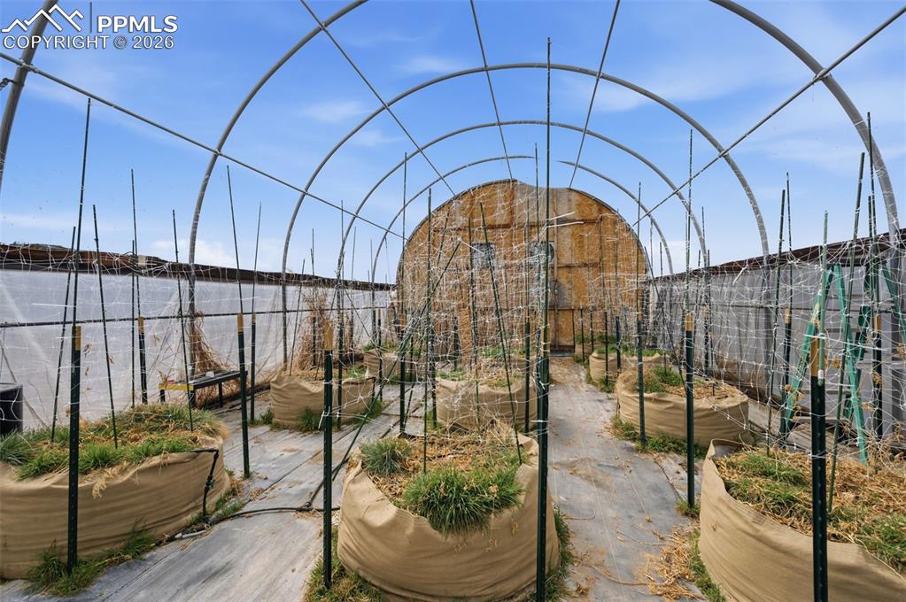 Image 36 of 39: Other