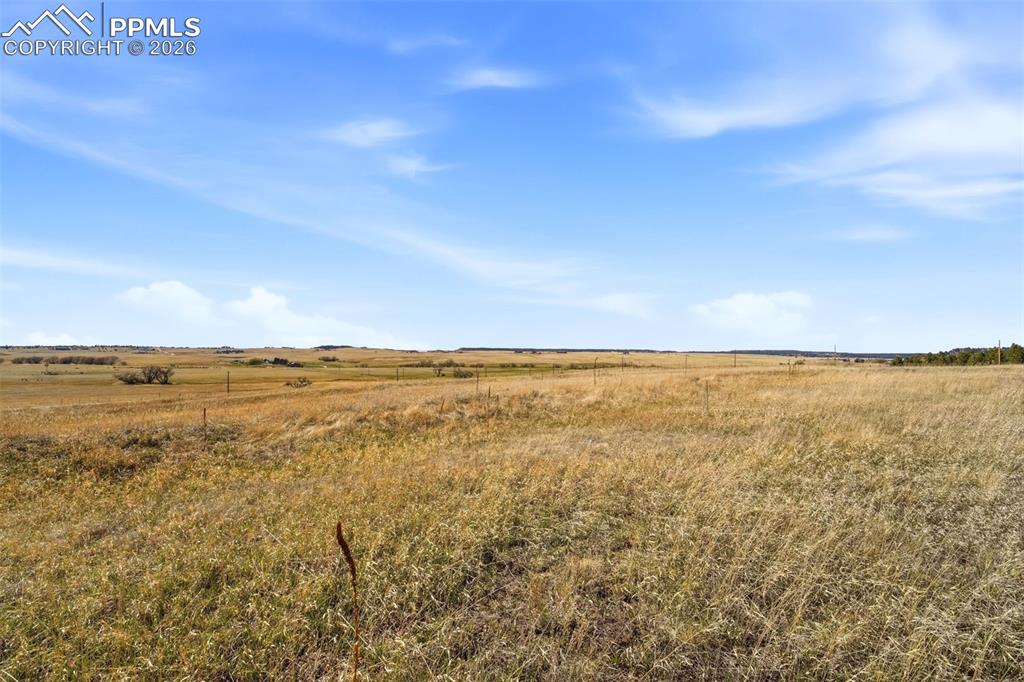 Image 10 of 14: No Description Available