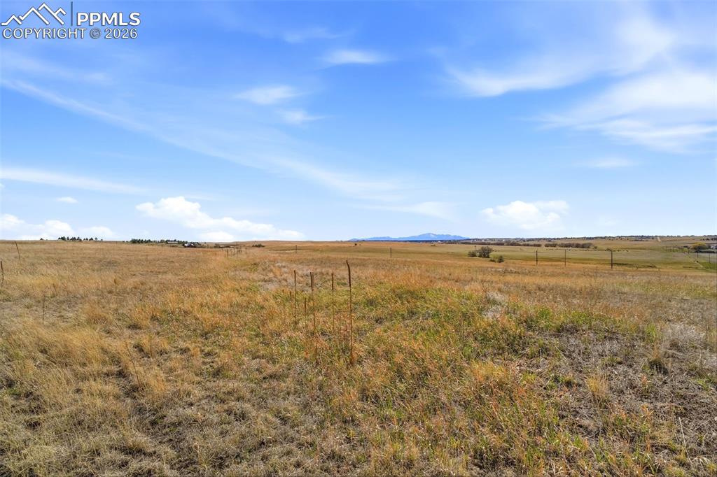 Image 13 of 14: No Description Available