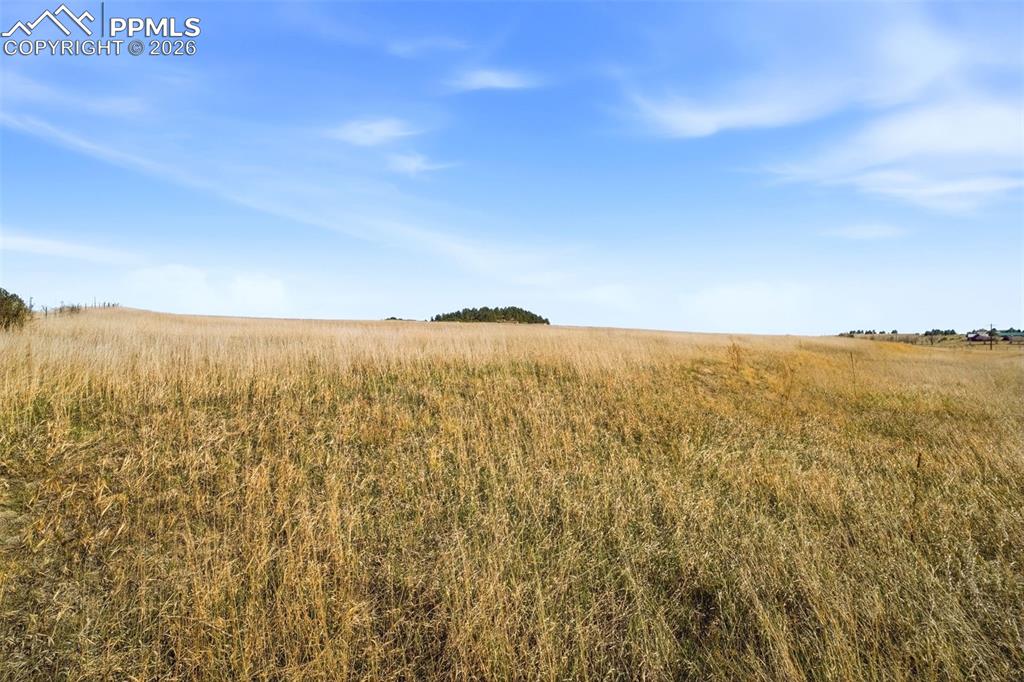 Image 14 of 14: No Description Available