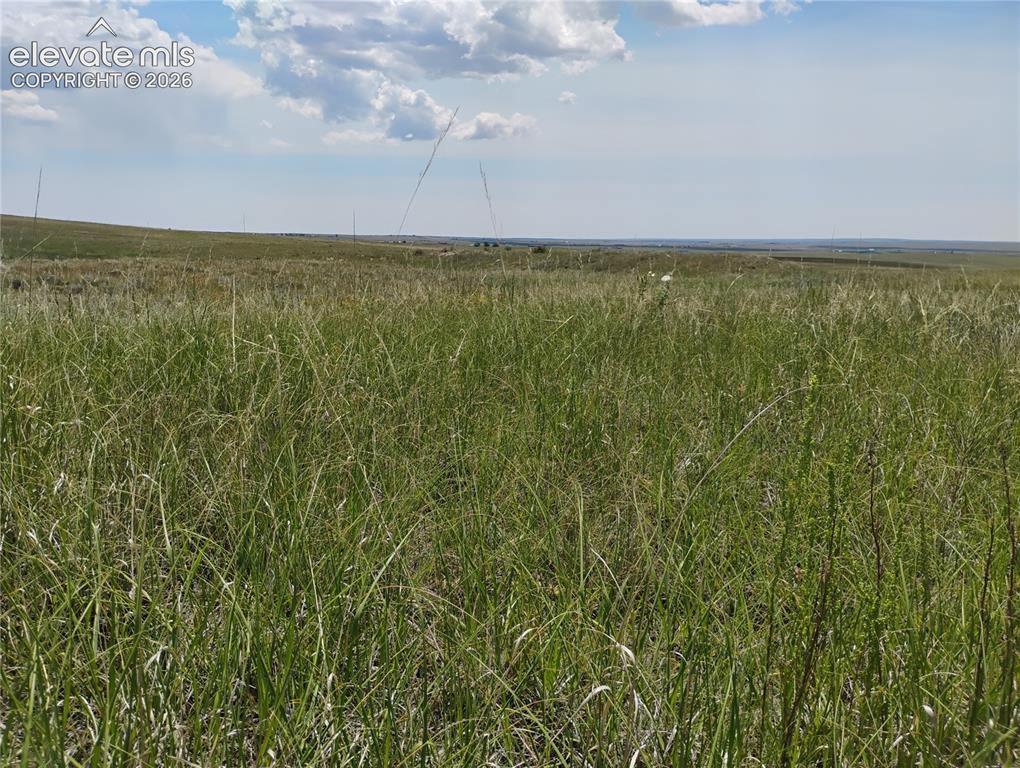 Image 10 of 15: Expansive open land with natural grasses extending to the horizon under a c