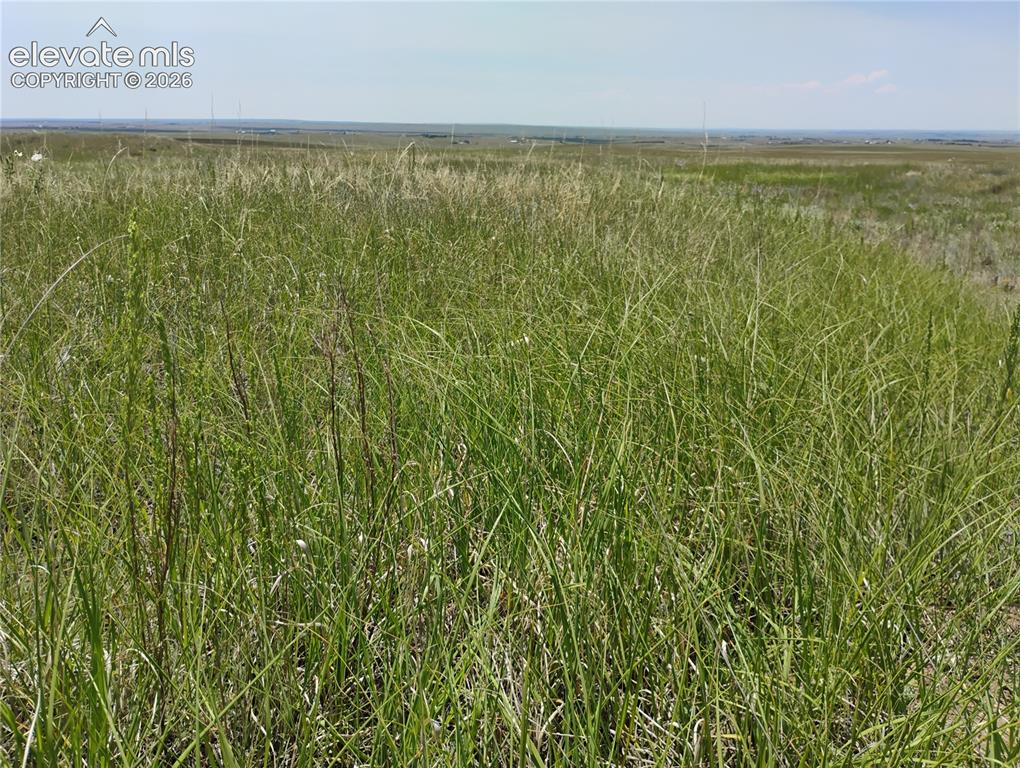 Image 11 of 15: Other