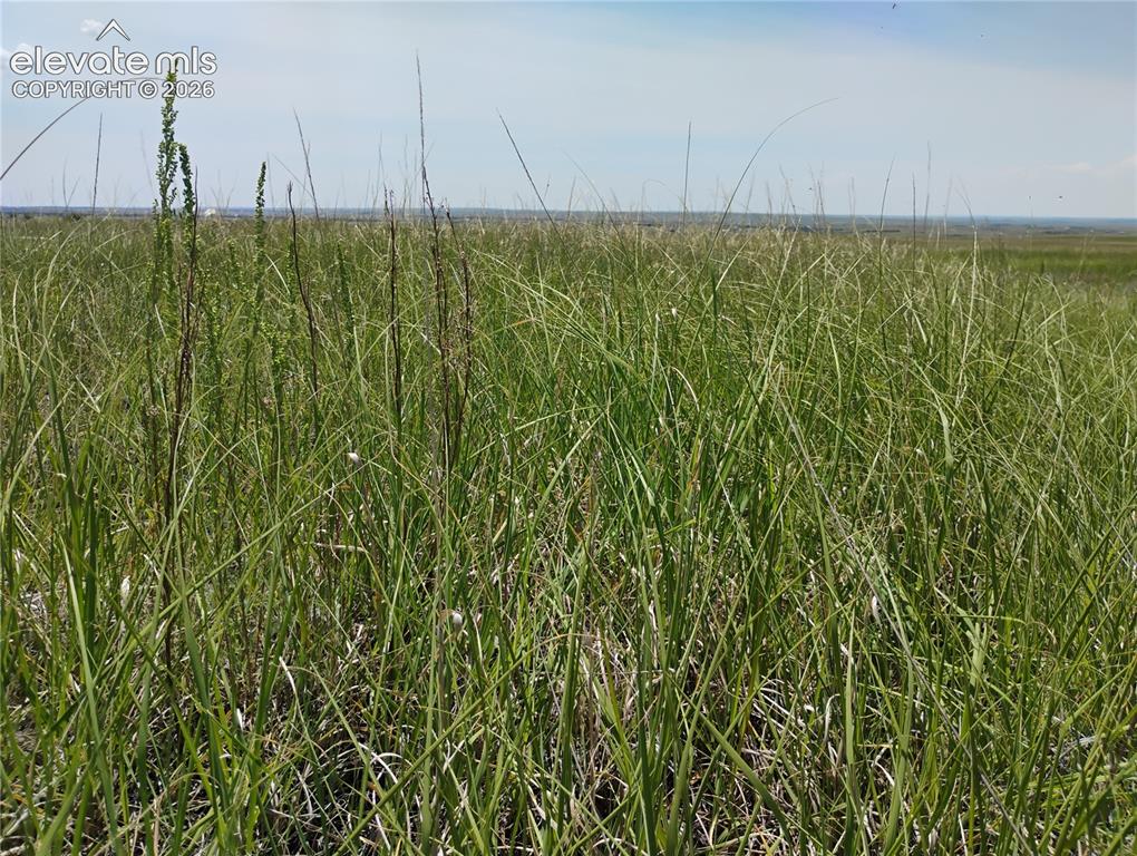 Image 12 of 15: Other