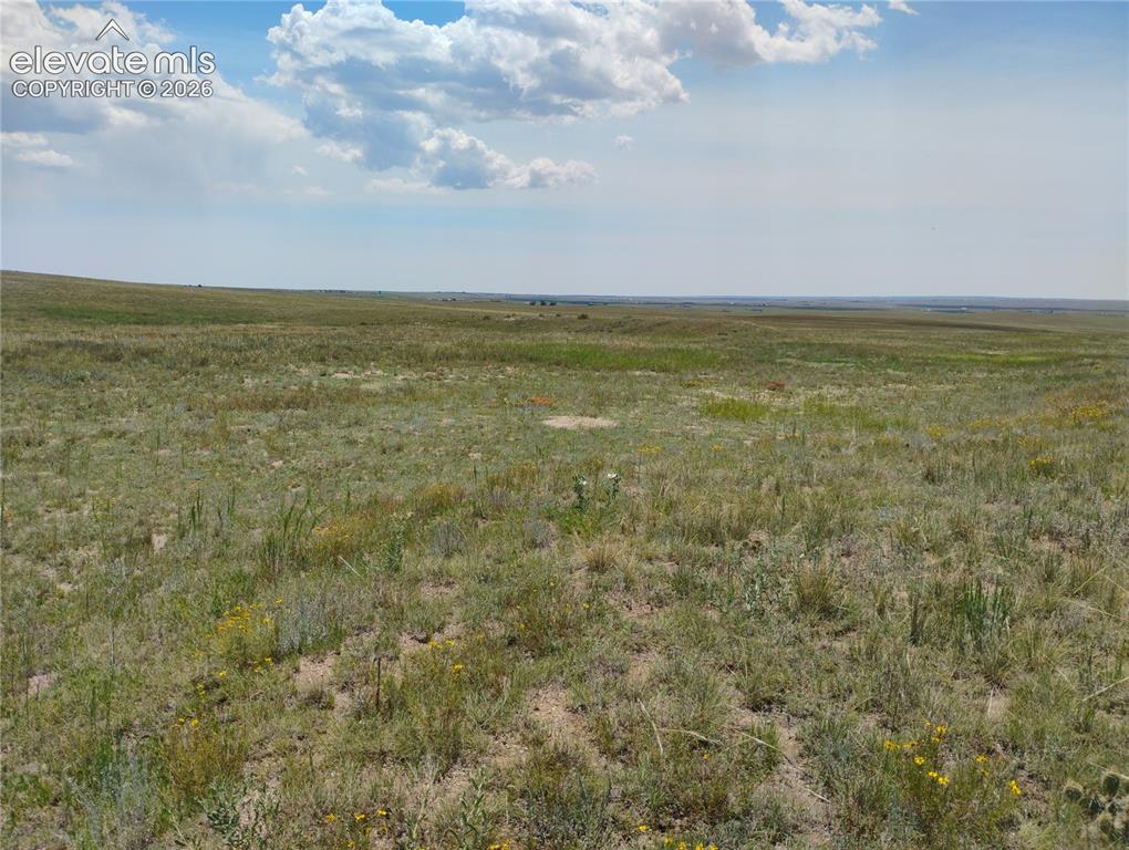 Image 14 of 15: Expansive open land featuring natural grasses and scattered wildflowers und