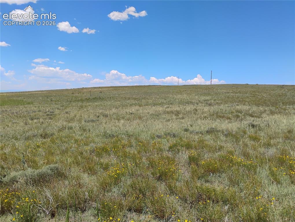 Image 15 of 15: Expansive open land featuring natural grasses and scattered yellow wildflow