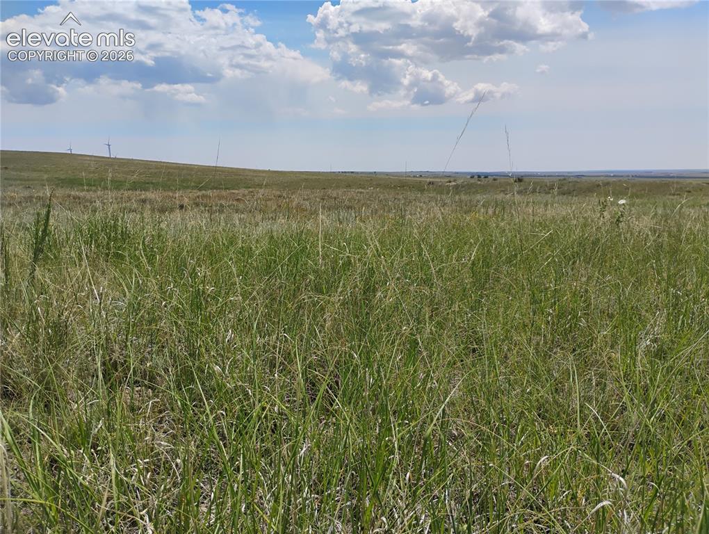 Image 9 of 15: Expansive open terrain featuring natural grassland and distant wind turbine