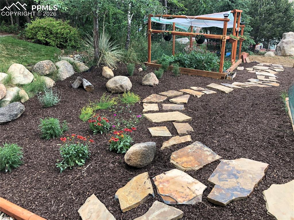 Image 46 of 50: Yard