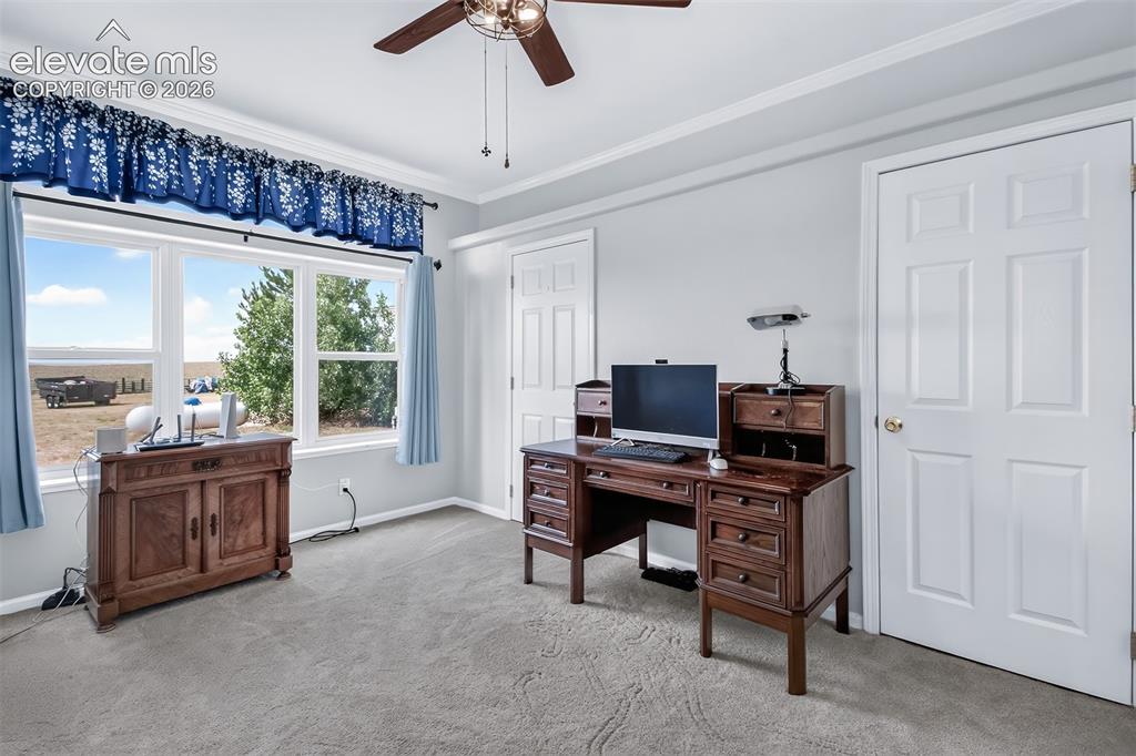 Image 20 of 45: Bedroom #3 with large double closets. New ceiling fans, windows, carpet & i