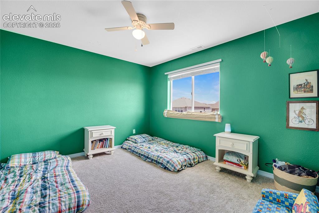 Image 38 of 42: Spacious room featuring textured green walls, light-colored carpeting, a wi