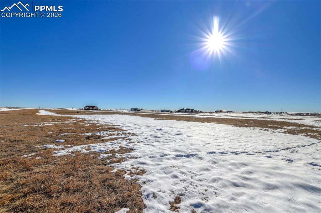 Image 13 of 16: Yard