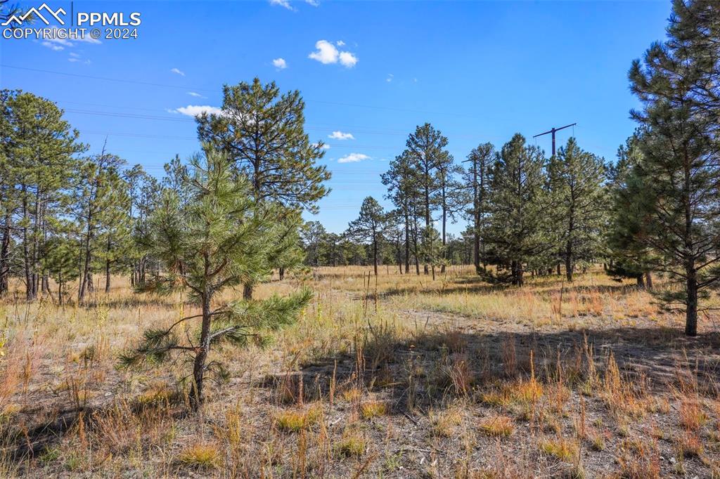 Listing 2072214, Image 3 of 15