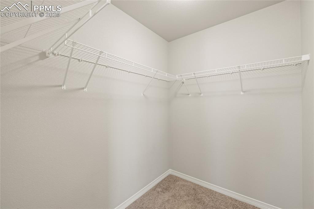 Image 20 of 24: Spacious closet featuring light carpet