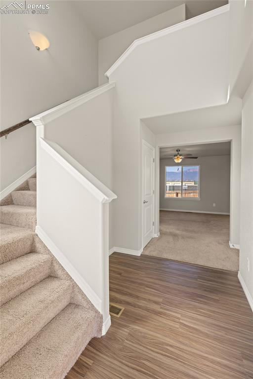 Image 6 of 24: Other