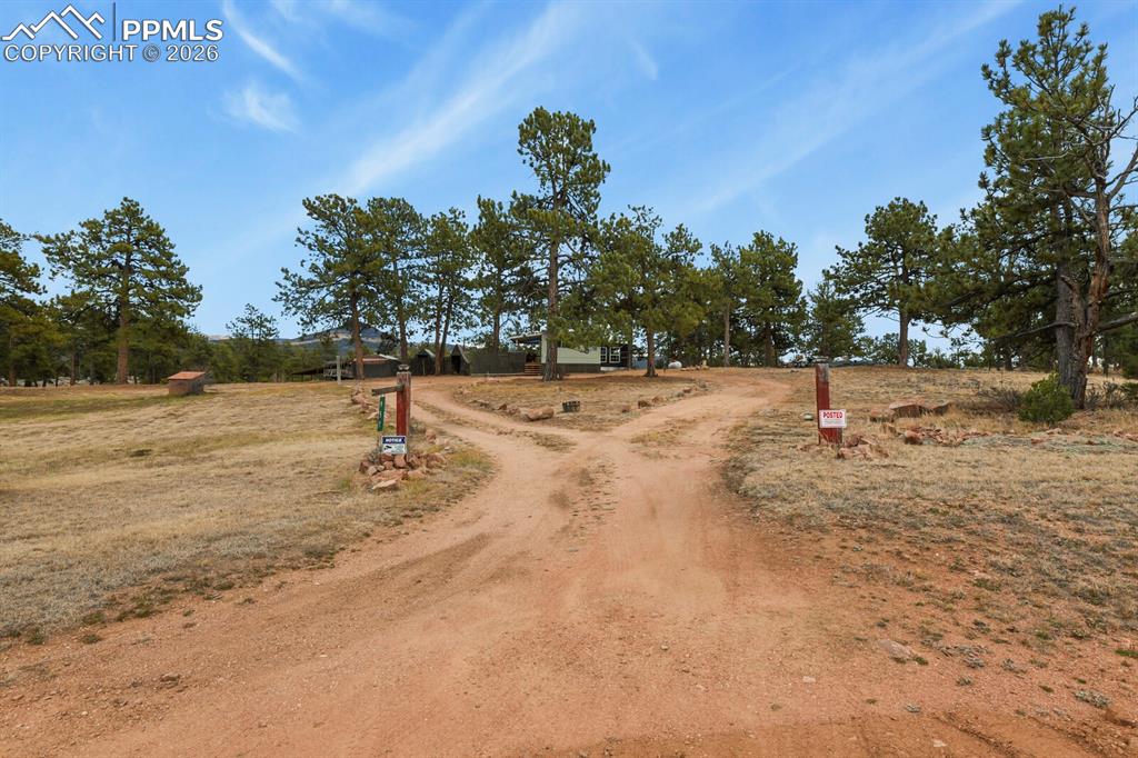 Image 26 of 36: Yard